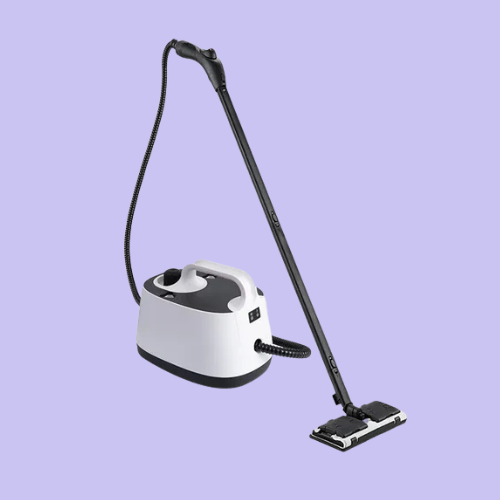 Read more about the article Comparatif : les meilleurs nettoyeurs vapeur pour punaises de lit