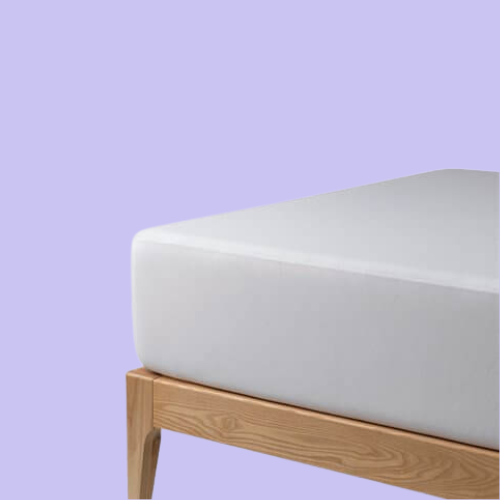 Read more about the article Peut-on stopper une infestation avec une housse anti punaise ?