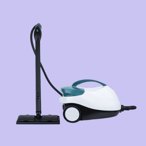 Read more about the article Bien acheter votre nettoyeur vapeur anti punaise : 5 conseils
