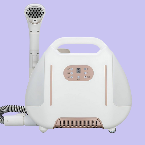 Read more about the article Quel nettoyeur vapeur professionnel anti punaises de lit ?