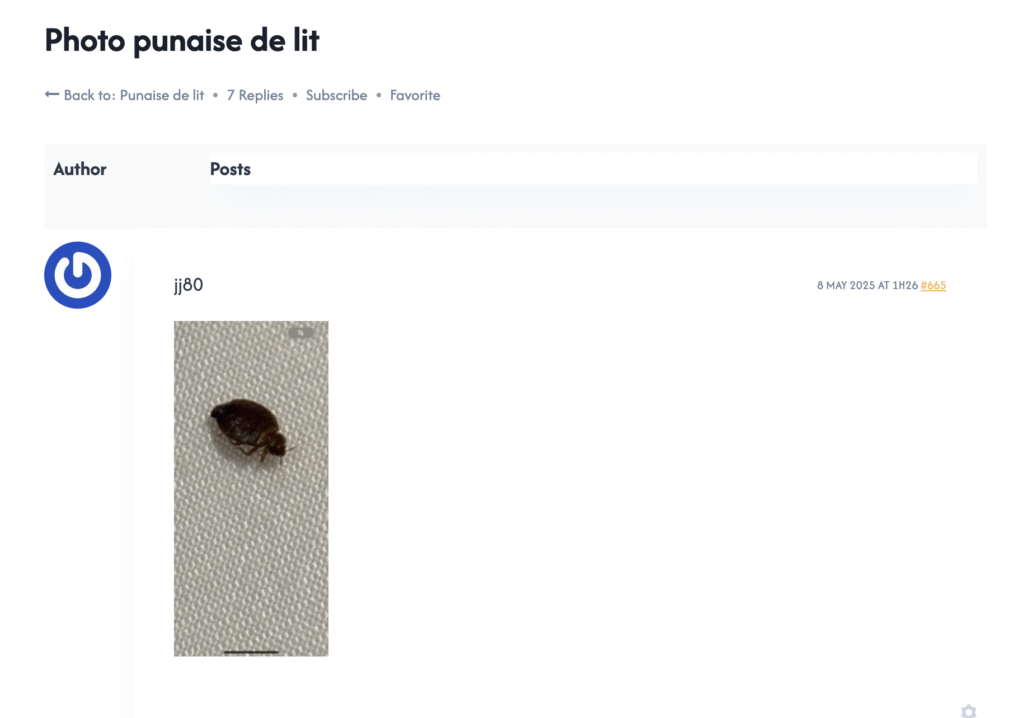 forum punaise de lit